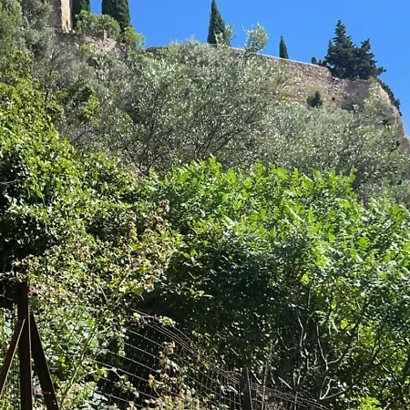 50m De La Grande Cassis