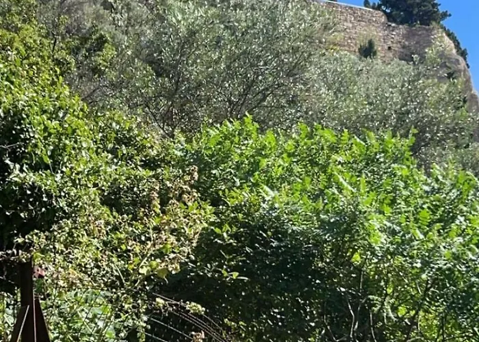 50m De La Grande Cassis